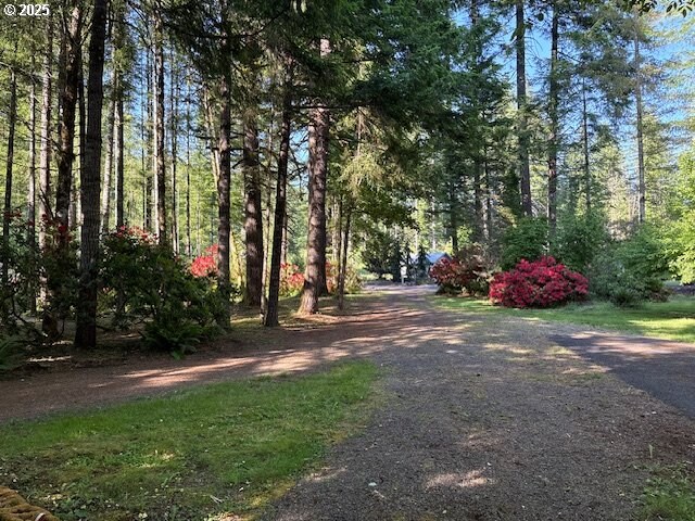 205 Baker Rd, Ariel, WA 98603 - view of road