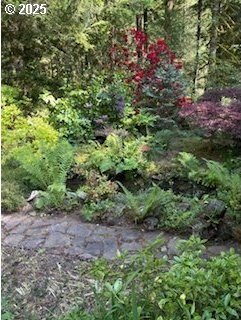 205 Baker Rd, Ariel, WA 98603 - view of tree filled area