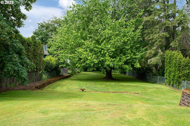 10001 SW 35th Ave, Portland, OR 97219 - view of yard