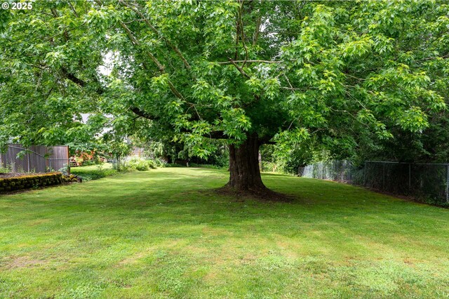 10001 SW 35th Ave, Portland, OR 97219 - view of yard