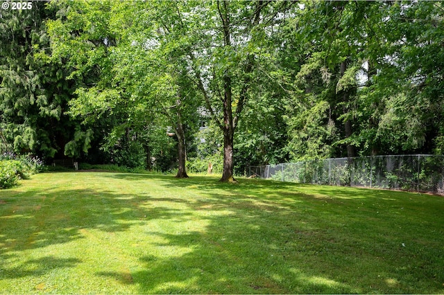 10001 SW 35th Ave, Portland, OR 97219 - view of yard