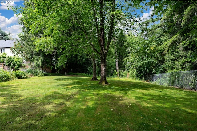 10001 SW 35th Ave, Portland, OR 97219 - view of yard