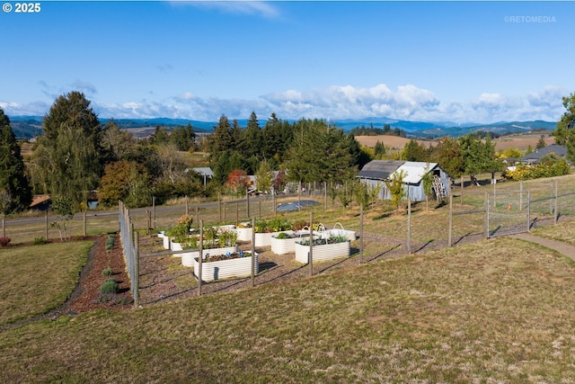 view of yard with an outbuilding, a vegetable garden, fence, a mountain view, and a shed