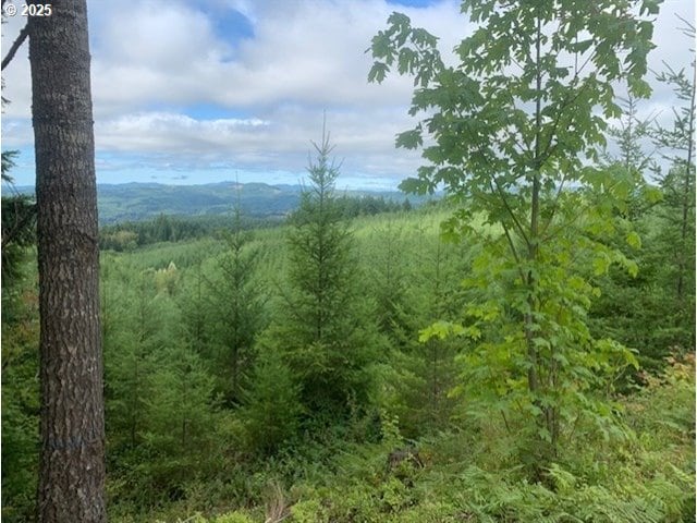 John Lee Rd, Buxton OR, 97109 land for sale