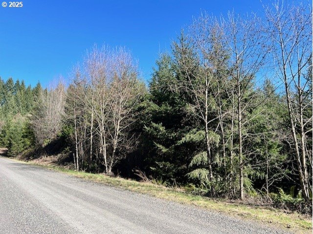 Listing photo 3 for John Lee Rd, Buxton OR 97109