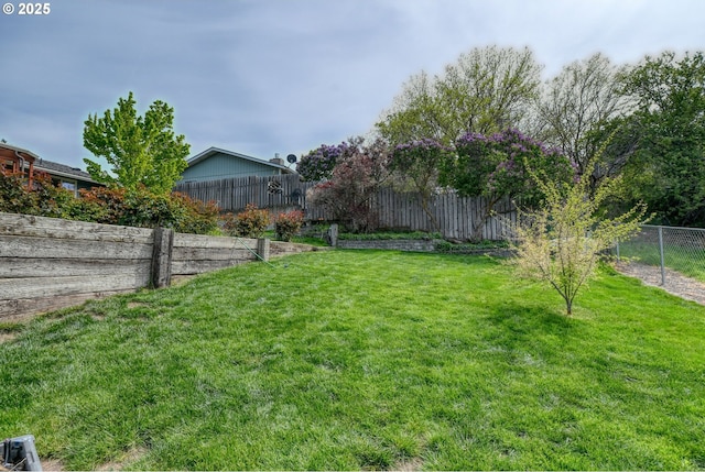 view of yard featuring a fenced backyard
