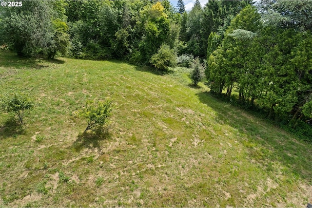 10455 NW Laidlaw Rd, Portland, OR 97229 - view of green lawn