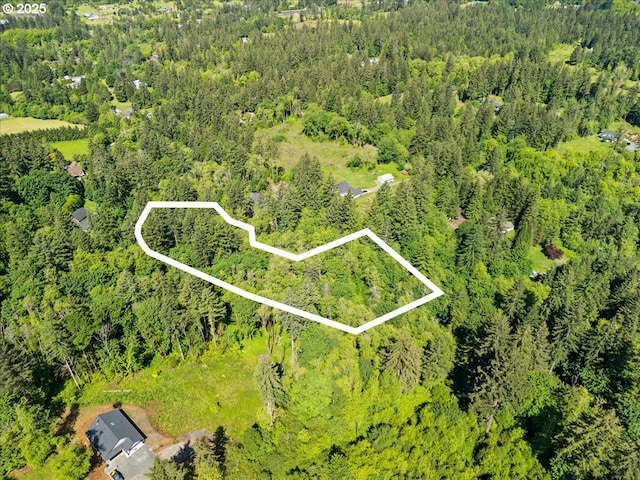 00 NE 324th Cir, Battle Ground, WA 98604