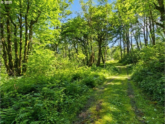 00 NE 324th Cir, Battle Ground, WA 98604