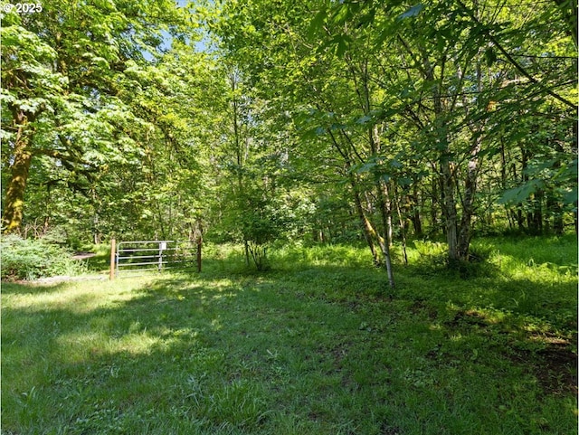 00 NE 324th Cir, Battle Ground, WA 98604