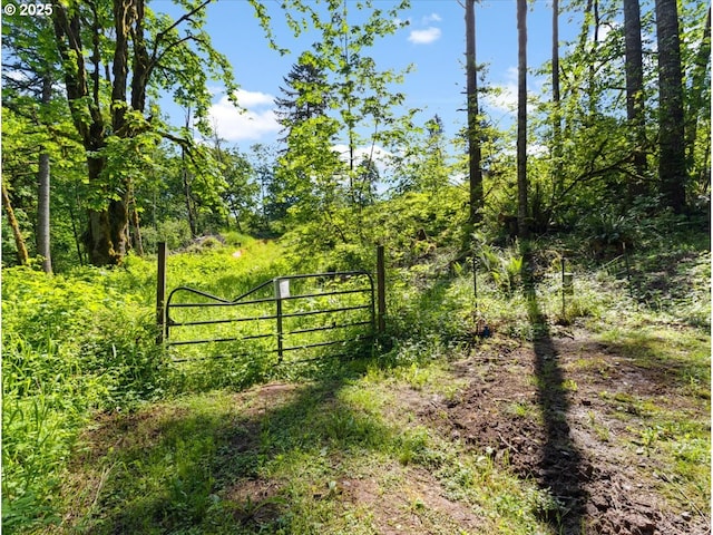 00 NE 324th Cir, Battle Ground, WA 98604