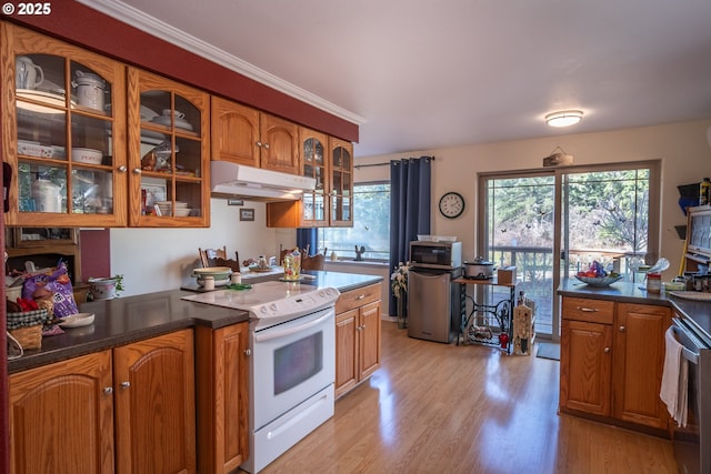 kitchen featuring crown molding, a wealth of natural light, light wood-type flooring, and white electric range oven