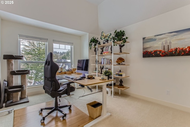 office with carpet flooring