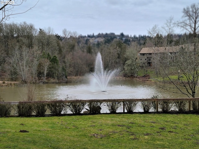 view of water feature