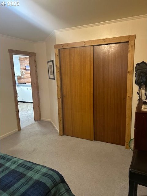 bedroom featuring a closet, ornamental molding, and carpet