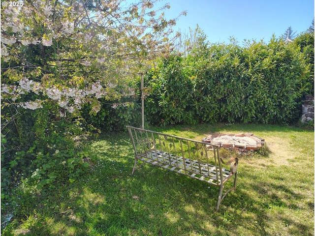 2745 34th St, Coos Bay, OR 97420 - view of green lawn
