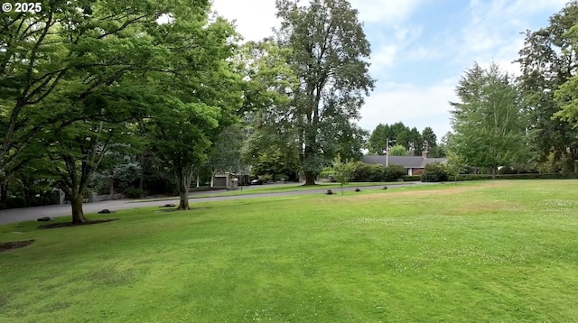 view of property's community with a lawn