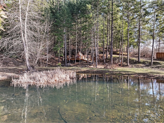 view of water feature