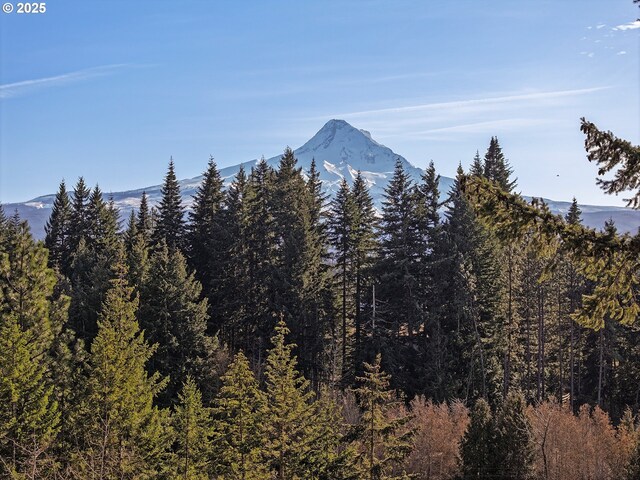 view of mountain feature with a wooded view