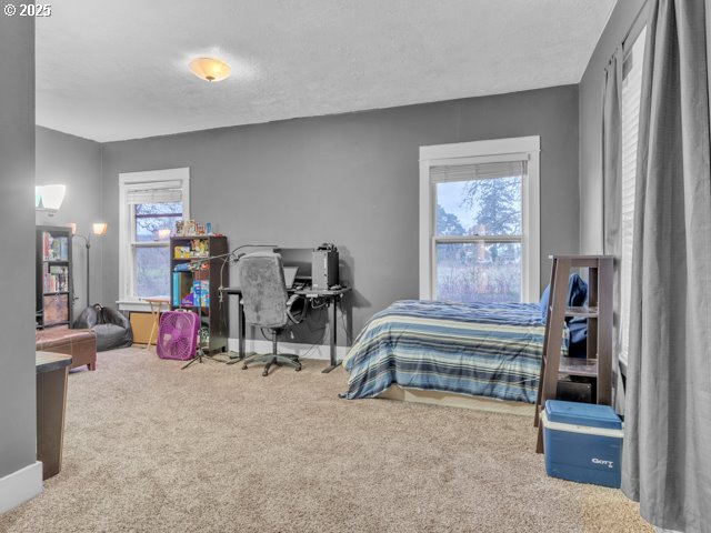 bedroom featuring multiple windows, a textured ceiling, baseboards, and carpet floors