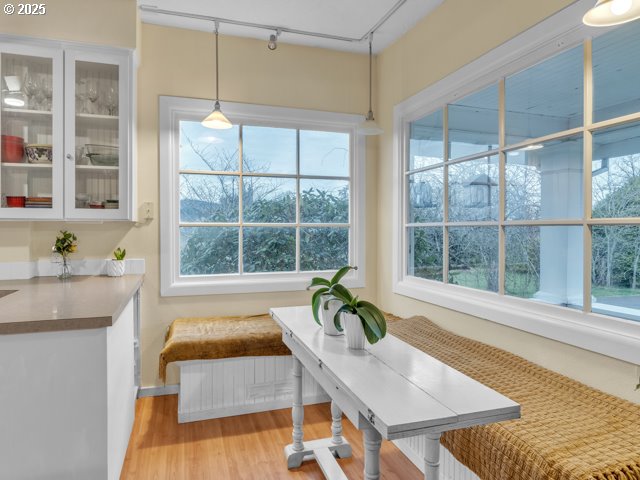 dining space featuring light wood-style flooring, rail lighting, a wealth of natural light, and breakfast area