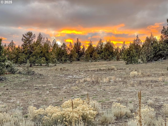 25405 SE Bear Creek Rd, Prineville, OR 97754 - view of nature
