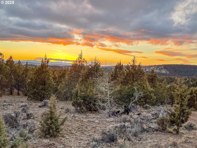 25405 SE Bear Creek Rd, Prineville, OR 97754 - view of landscape
