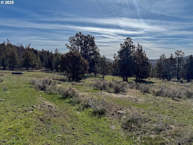 25405 SE Bear Creek Rd, Prineville, OR 97754 - view of local wilderness with a forest view