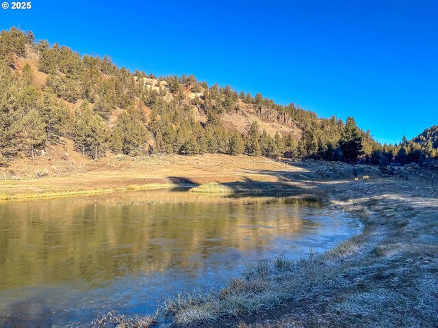 25405 SE Bear Creek Rd, Prineville, OR 97754 - water view