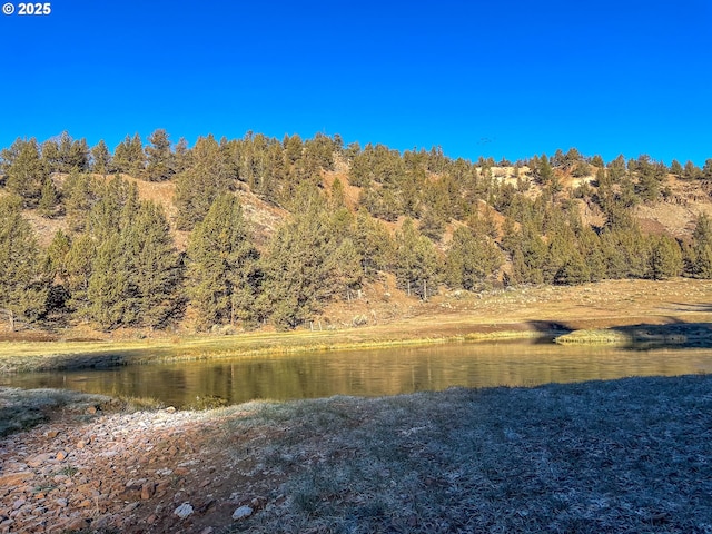 25405 SE Bear Creek Rd, Prineville, OR 97754 - water view featuring a view of trees
