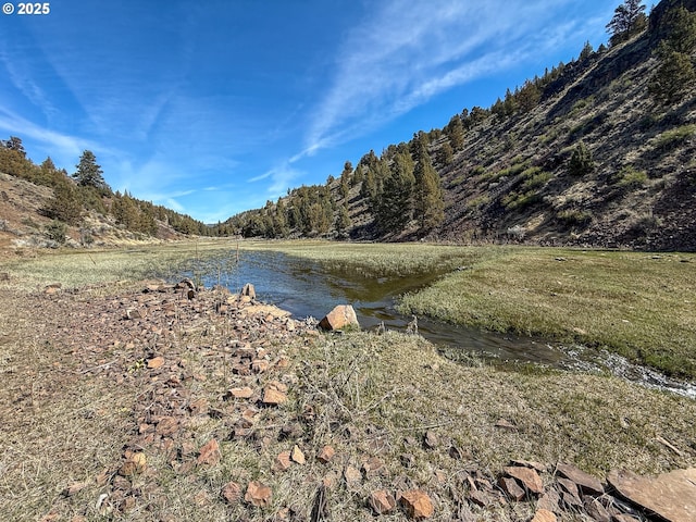 25405 SE Bear Creek Rd, Prineville, OR 97754 - property view of water