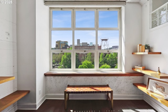 1314 NW Irving St Unit 404, Portland, OR 97209 - living area featuring baseboards, wood finished floors, plenty of natural light, and a view of city