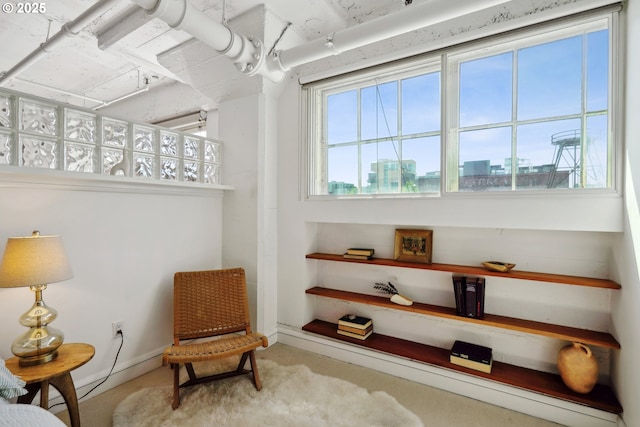 1314 NW Irving St Unit 404, Portland, OR 97209 - sitting room with carpet flooring and a view of city