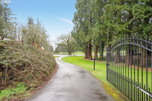 view of road with aphalt driveway, a gate, and a gated entry