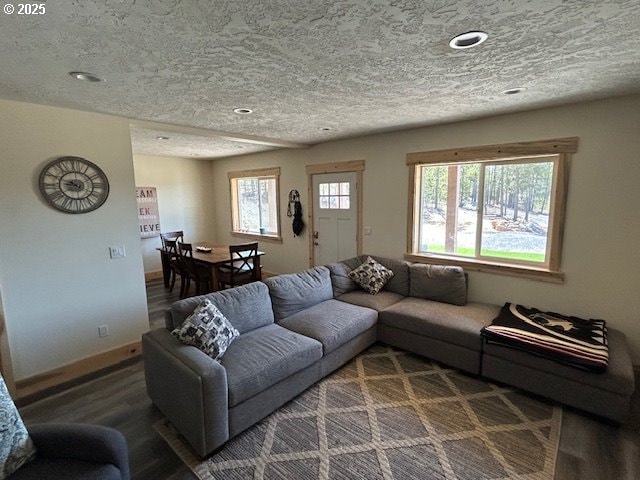 living room with baseboards, a textured ceiling, recessed lighting, and wood finished floors