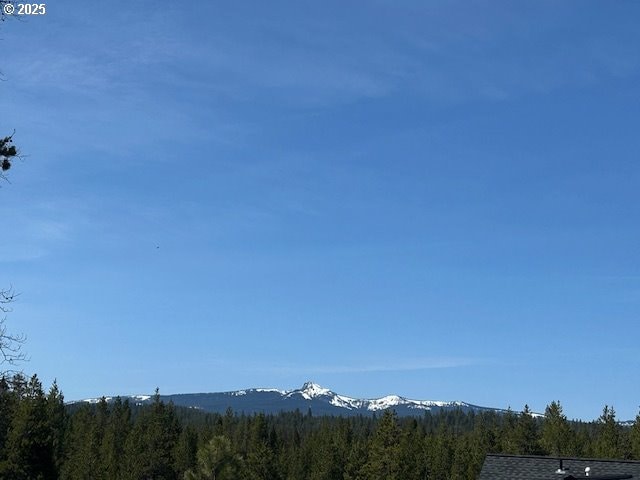 view of mountain feature with a forest view