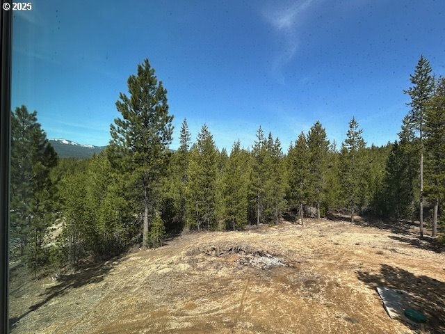 view of nature with a forest view