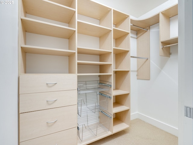 790 NW Westover Sq Unit 8, Portland, OR 97210 - walk in closet with light colored carpet