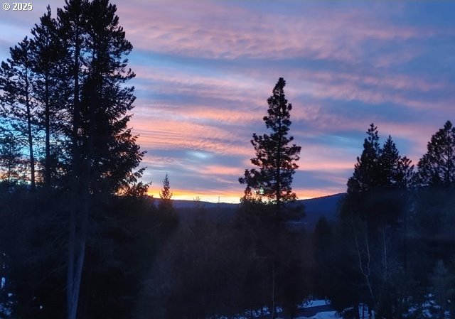 view of nature at dusk