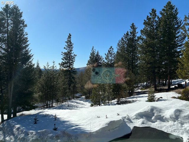 view of yard covered in snow