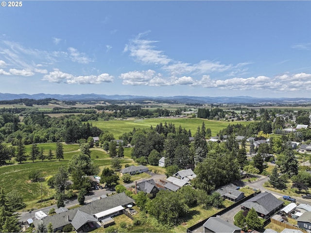 1040 S Park St, Carlton, OR 97111 - aerial perspective of suburban area with mountains
