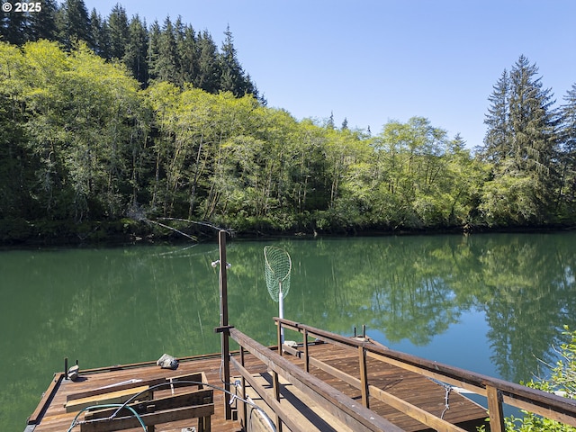 3419 S Ballard Ln, Lincoln City, OR 97367 - dock area with a water view and a view of trees