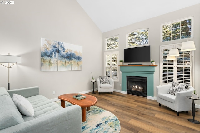 9619 NW Silver Ridge Loop, Portland, OR 97229 - living area featuring high vaulted ceiling, a glass covered fireplace, wood finished floors, baseboards, and healthy amount of natural light