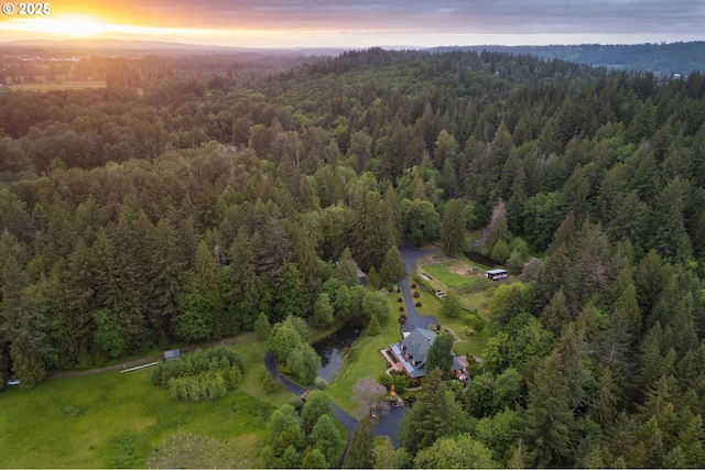 aerial overview of property's location with a forest