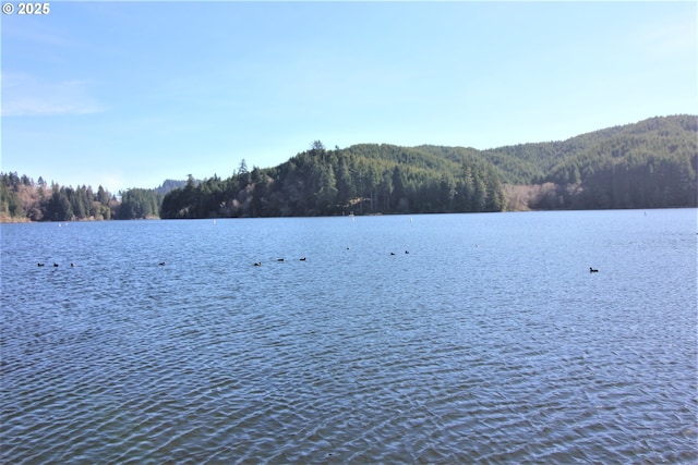 6 Creek Ln, Lakeside, OR 97449 - water view with a heavily wooded area