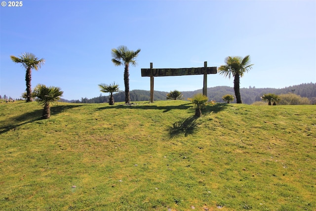 6 Creek Ln, Lakeside, OR 97449 - view of green lawn with a view of countryside