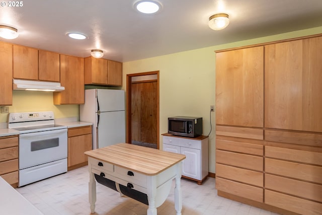3333 Bullock Rd, Oakland, OR 97462 - kitchen with white appliances, under cabinet range hood, light flooring, and light countertops