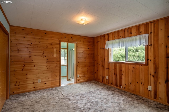 3333 Bullock Rd, Oakland, OR 97462 - carpeted empty room featuring wood walls