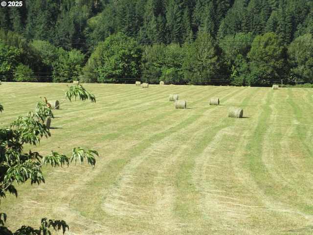 3333 Bullock Rd, Oakland, OR 97462 - view of grassy yard with a view of rural / pastoral area and a wooded view