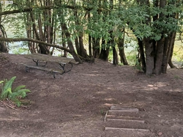 3333 Bullock Rd, Oakland, OR 97462 - view of local wilderness